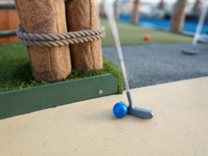 Young Adults Mini Golf